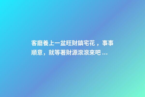 客廳養上一盆旺財鎮宅花，事事順意，就等著財源滾滾來吧！